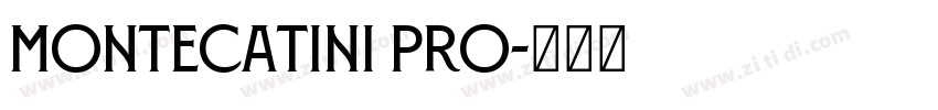 Montecatini Pro字体转换